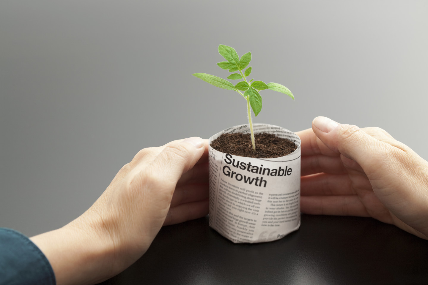 Sustainable Growth Istock 184145583 (1)