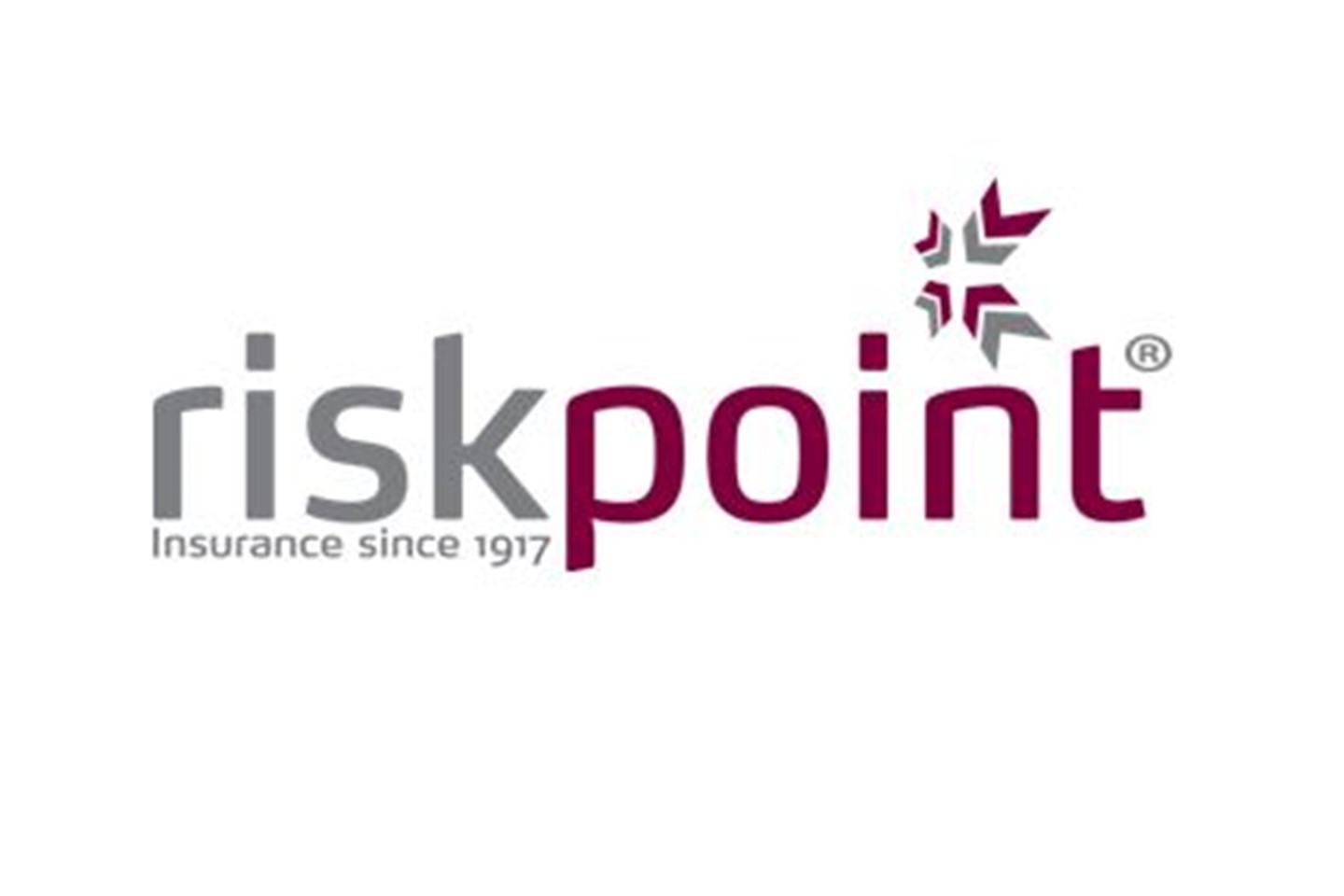 Riskpoint Logo 2