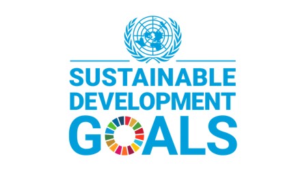 UN SDG Logo