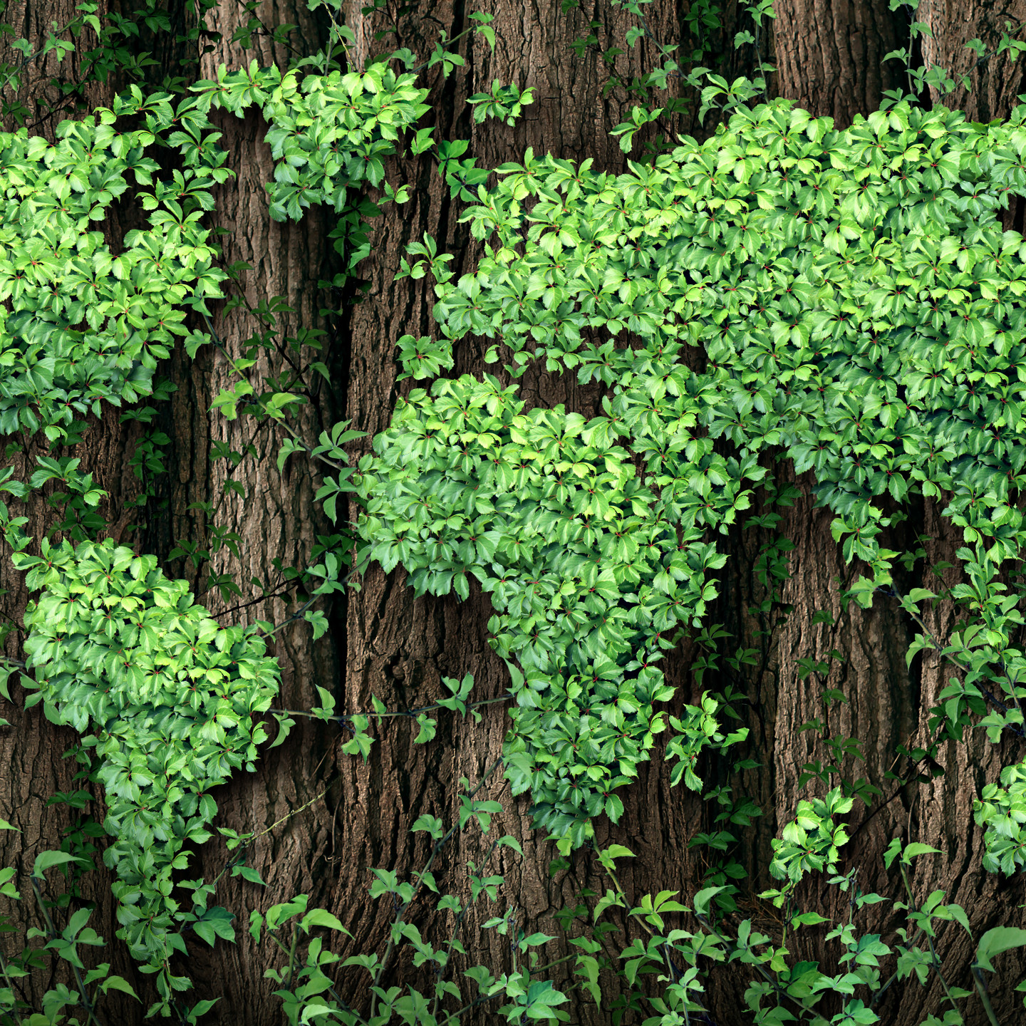 Climate Earth Shutterstock 138396116